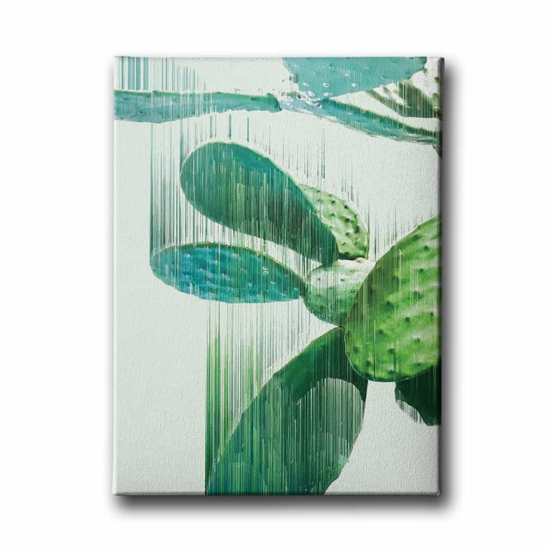 Kaktus Canvas Tablo