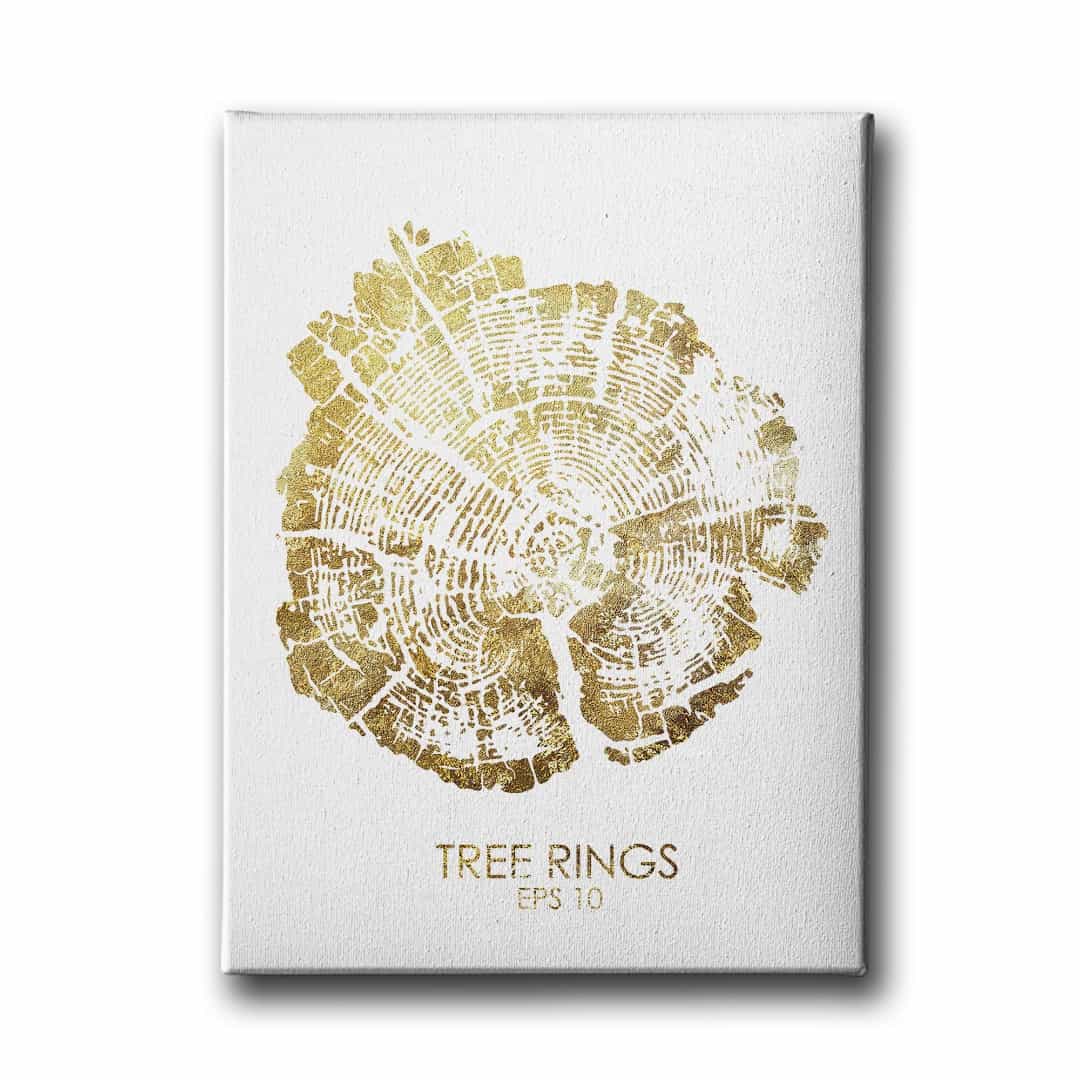 Agac Koku Canvas Tablo