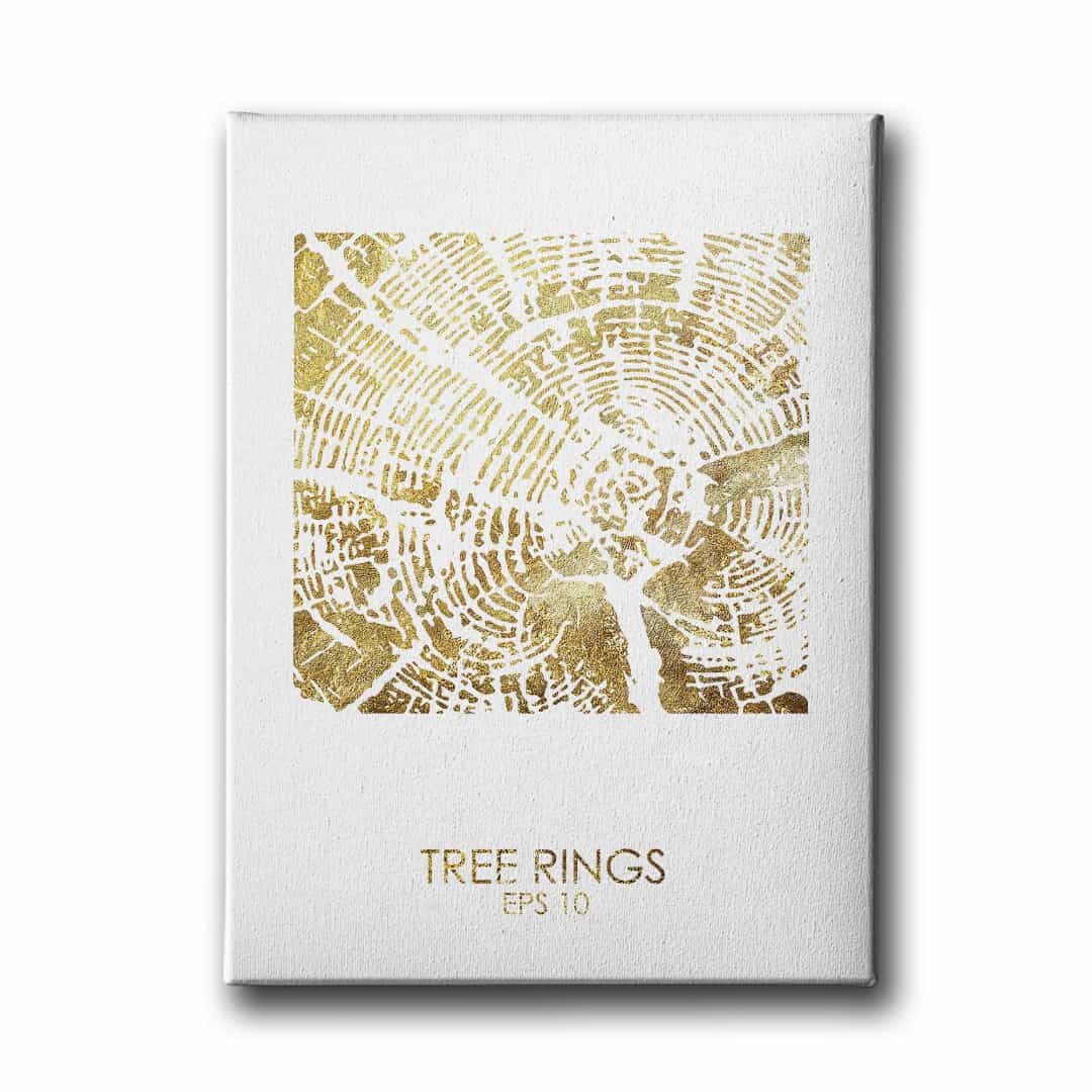 Agac Koku Canvas Tablo