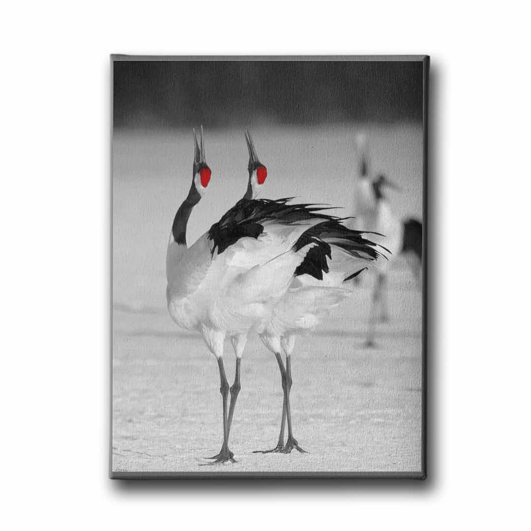 Japon Turnasi Canvas Tablo