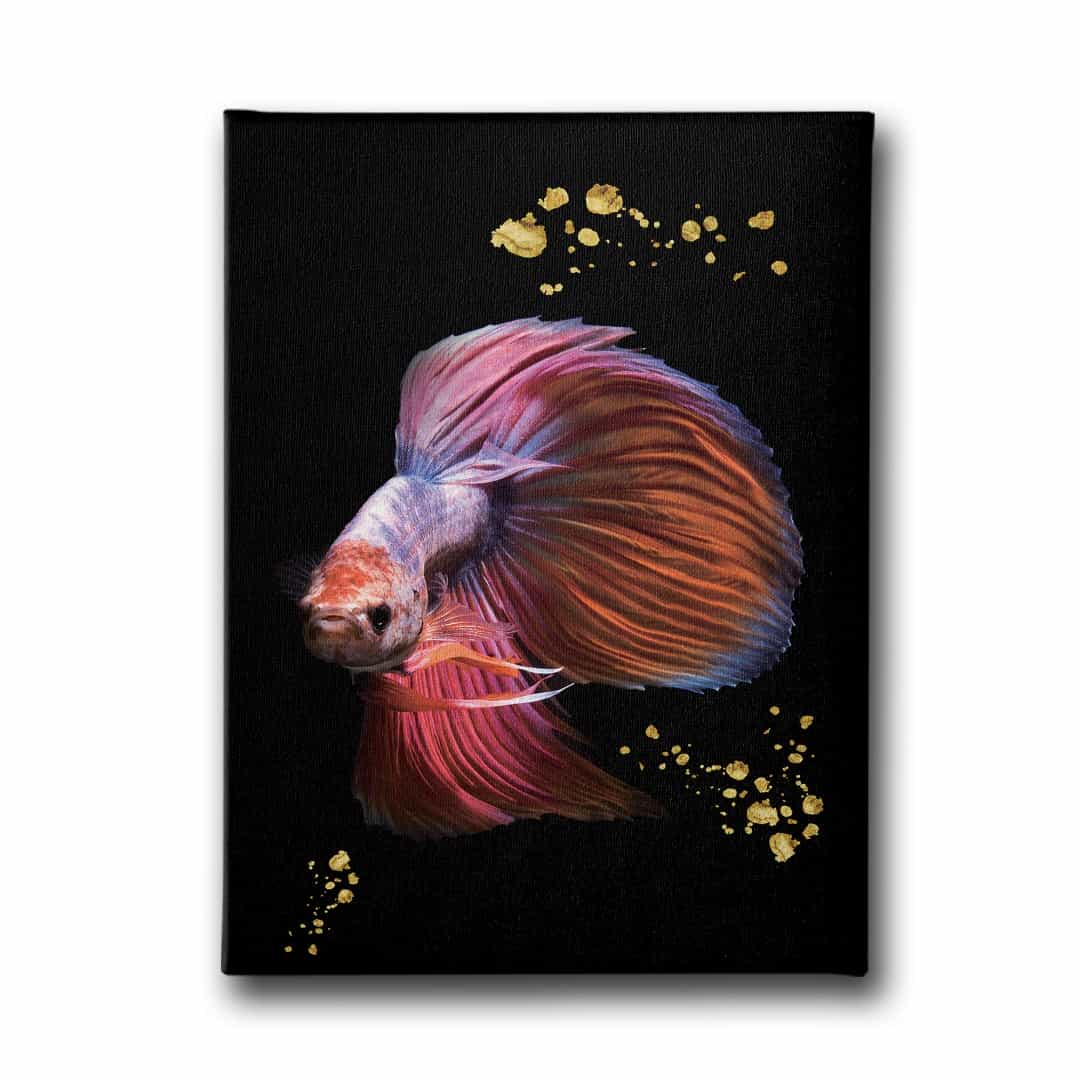 Modern Balik Canvas Tablo