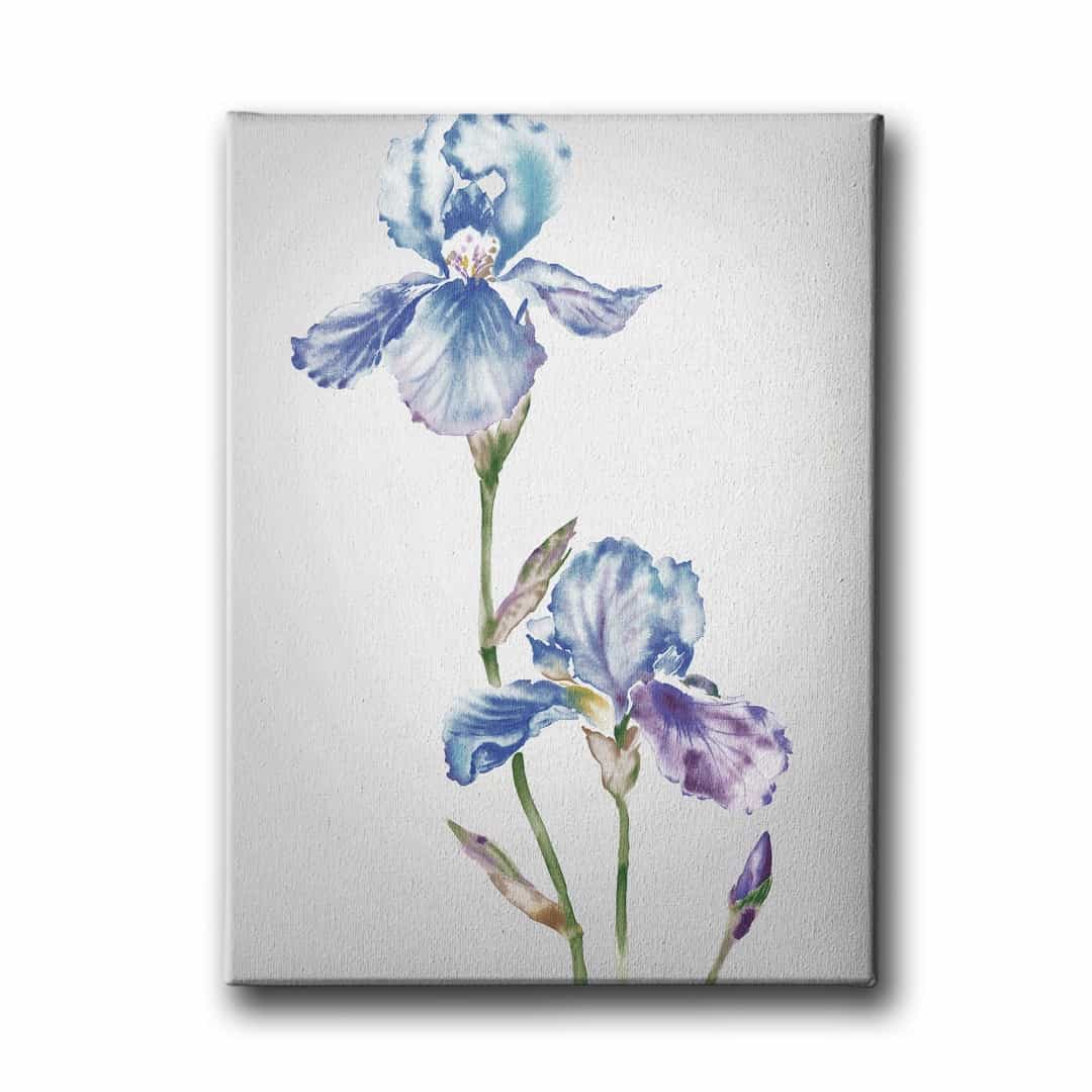 Renkli Cicek Canvas Tablo