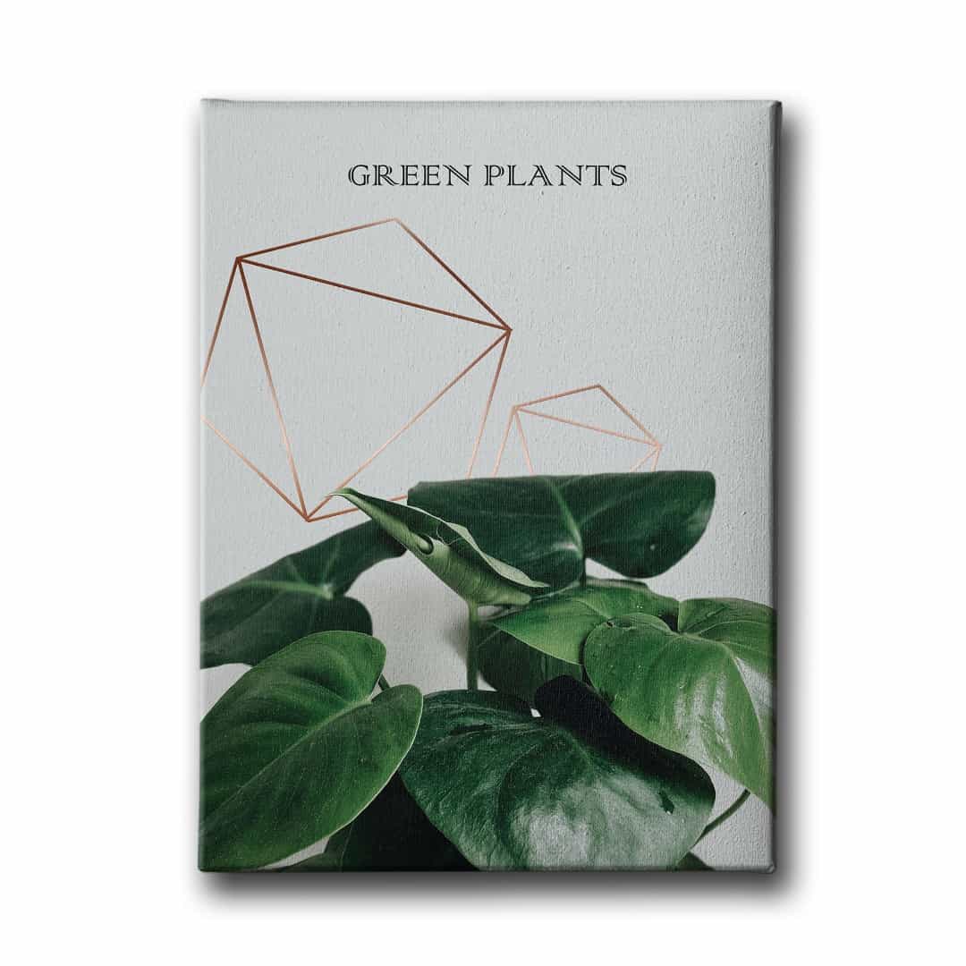 Green Plants Canvas Tablo