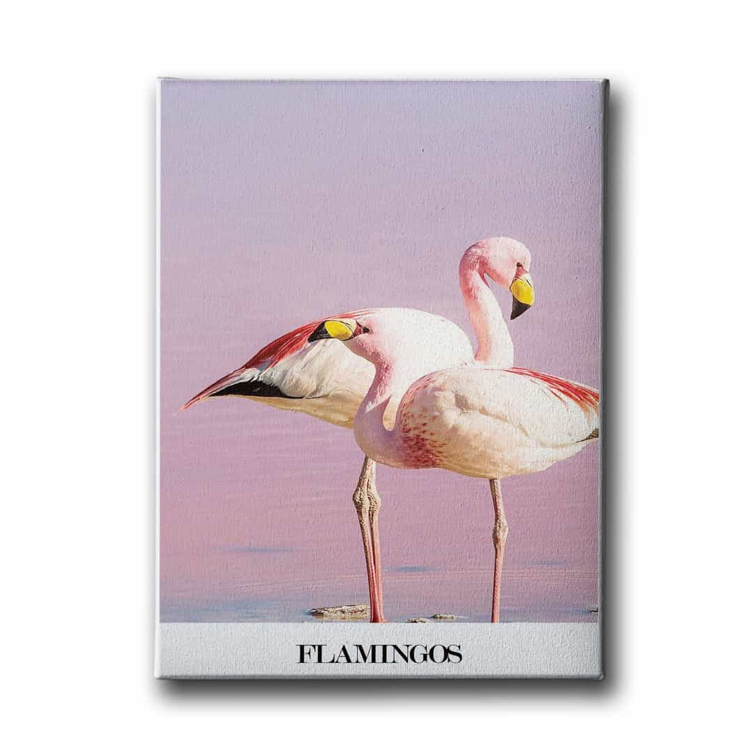Flamingo Canvas Tablo
