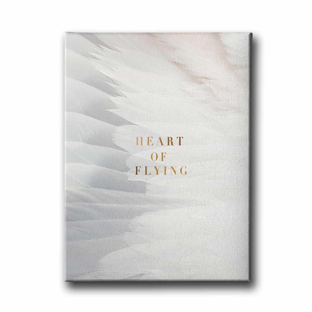 Heart Of Flying Canvas Tablo