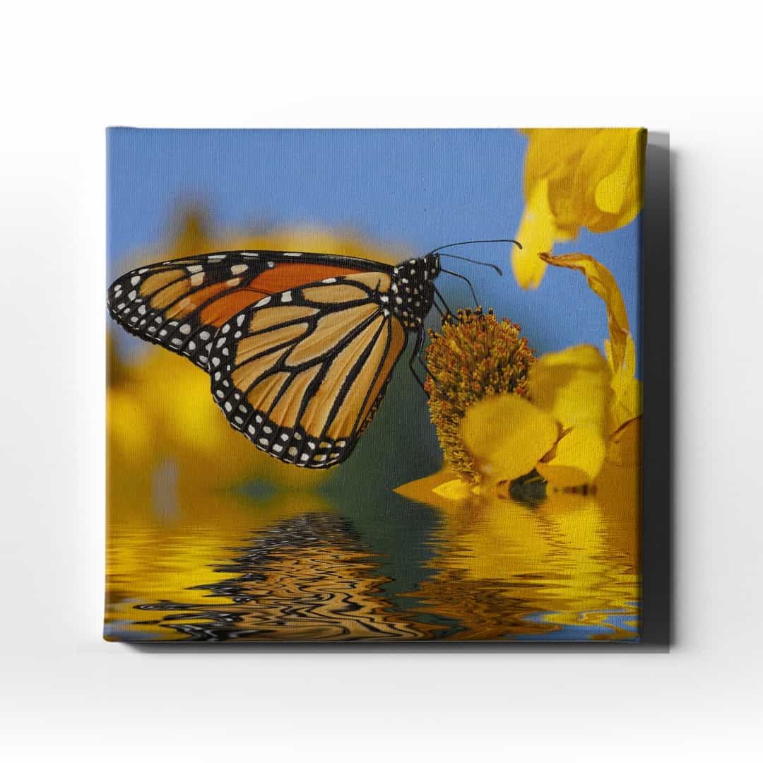 Kelebek Kanvas Tablo