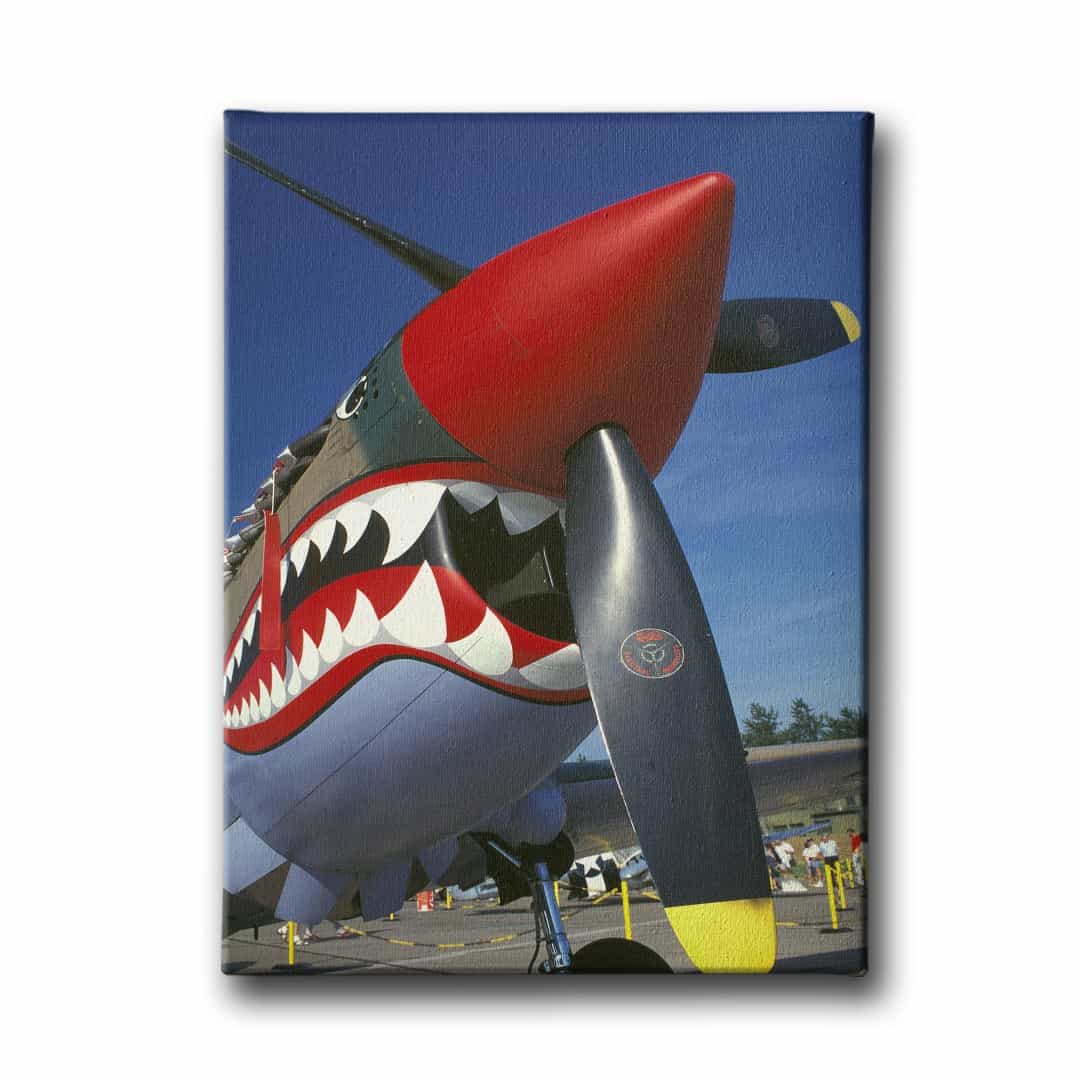 Kopekbalikli Helikopter Canvas Tablo