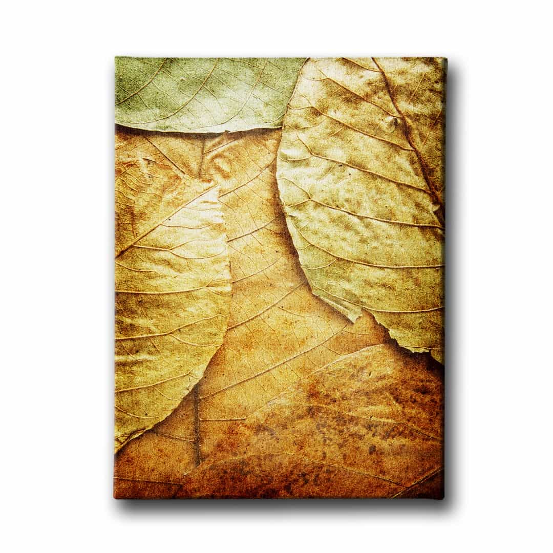 Yaprakli Kanvas  Tablo