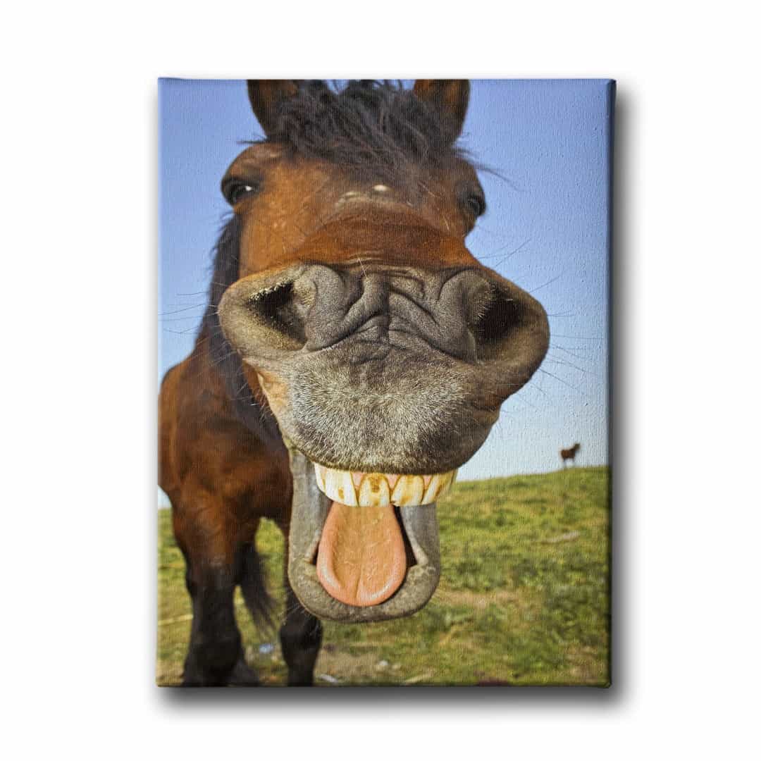 At Agzi Kanvas Tablo