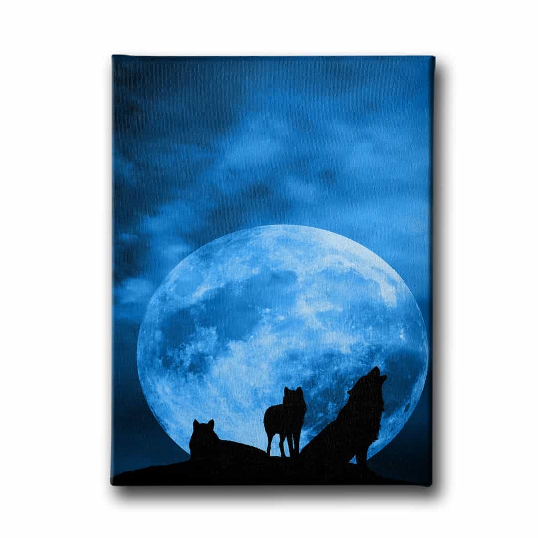 Kurtlar Kanvas Tablo