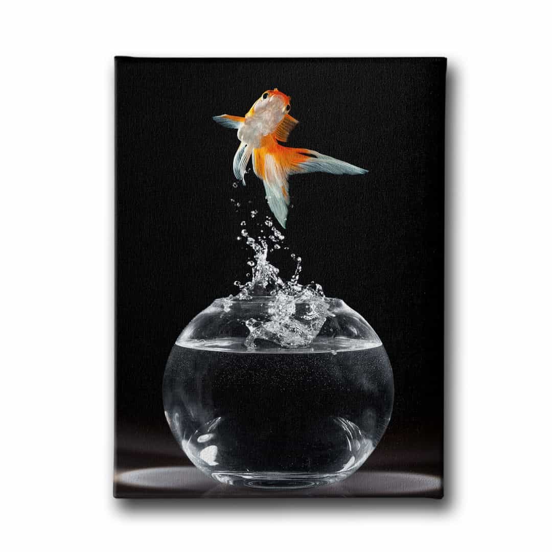 Akvaryum Balik Kanvas Tablo