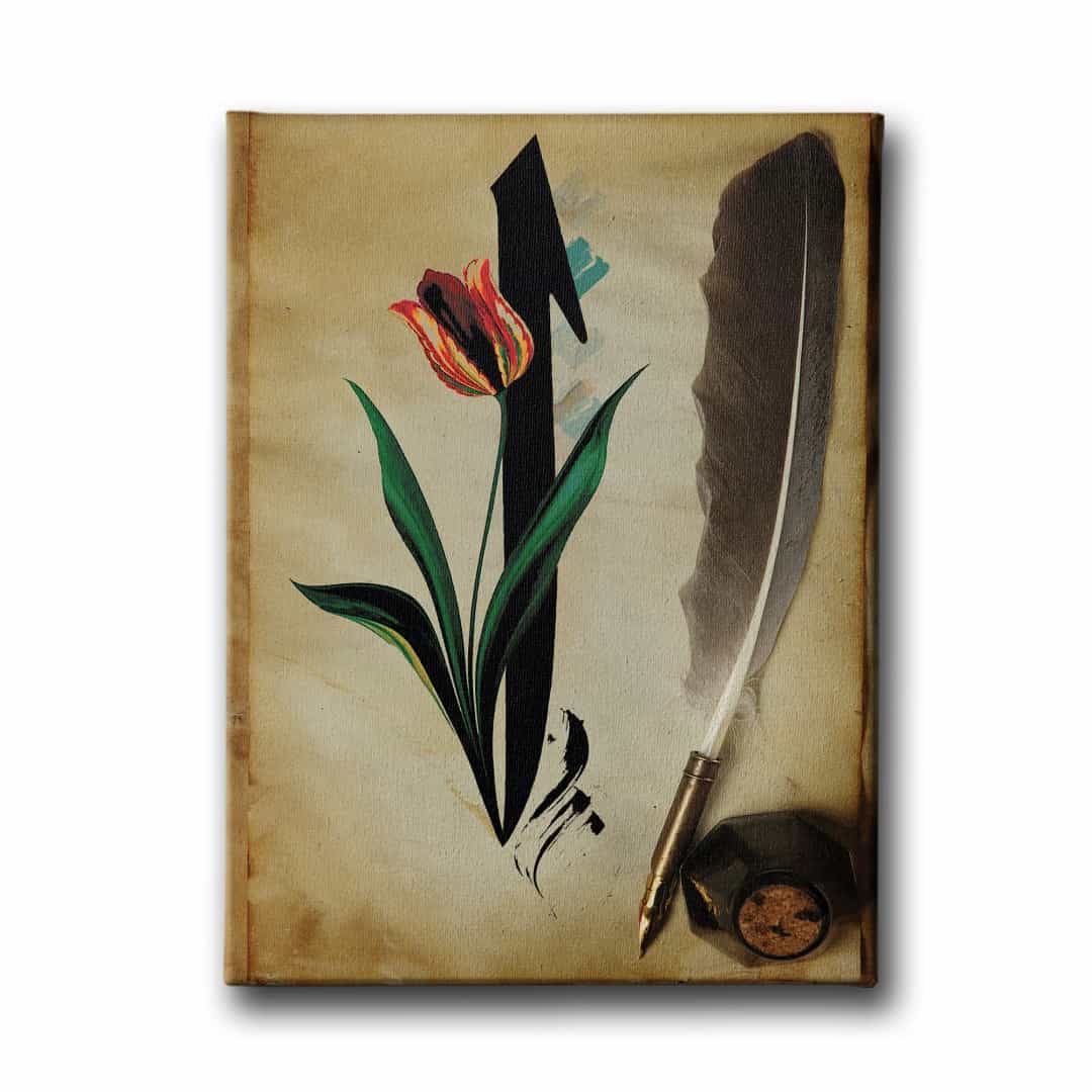 Elif Tablo