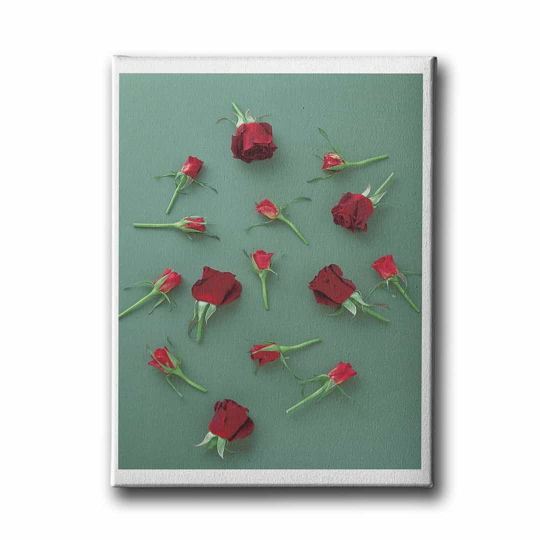 Gul Canvas Tablo