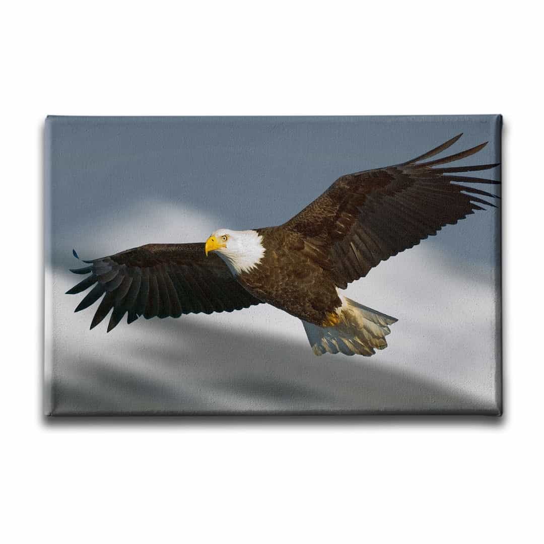 Kartal Kanvas Tablo