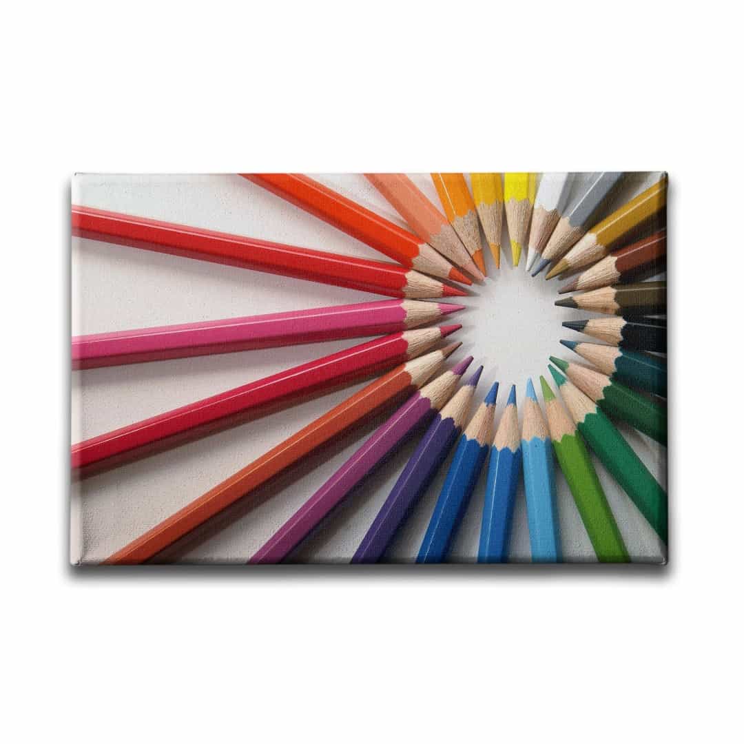 Renk Kusagi  Canvas Tablo