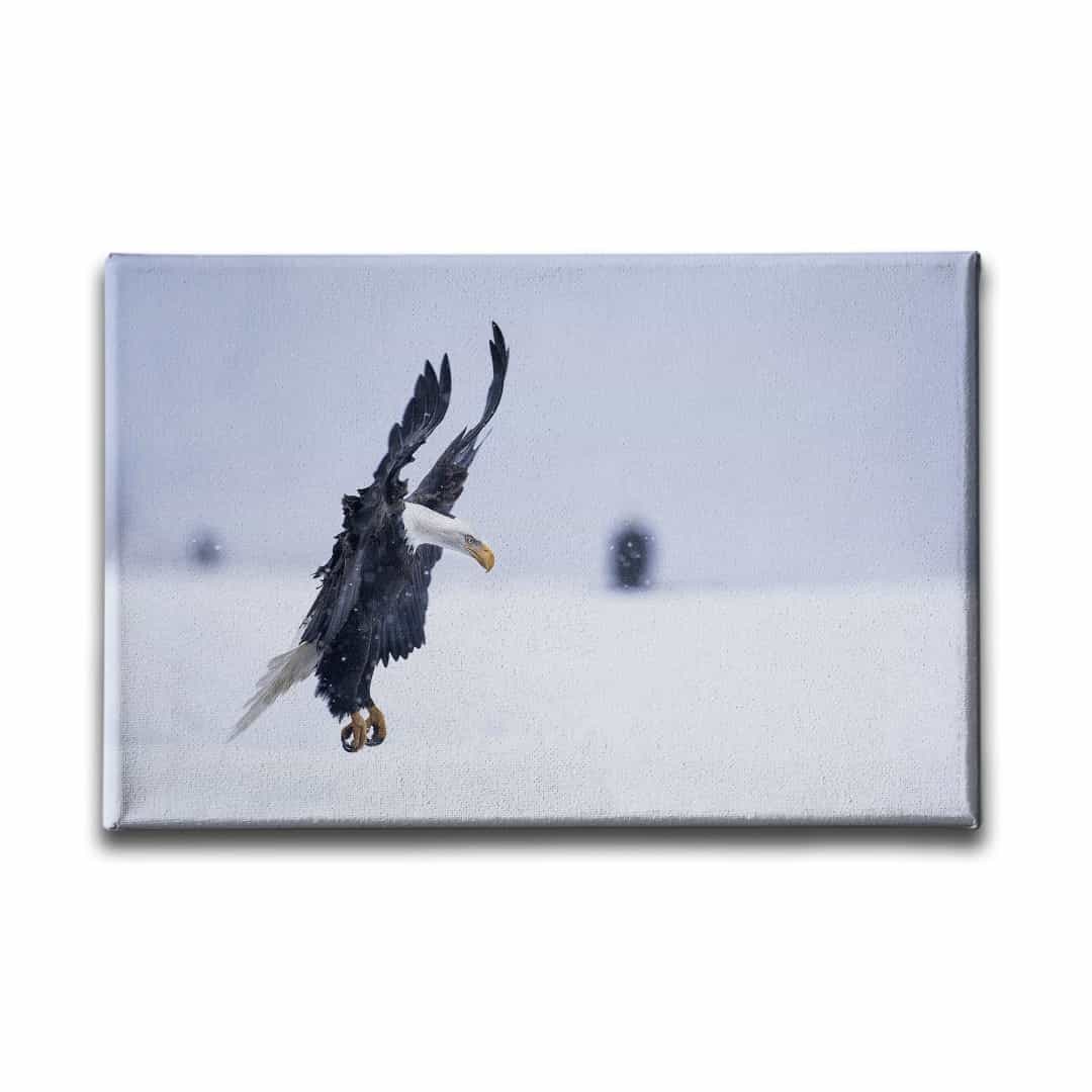 Kartal Kanvas Tablo